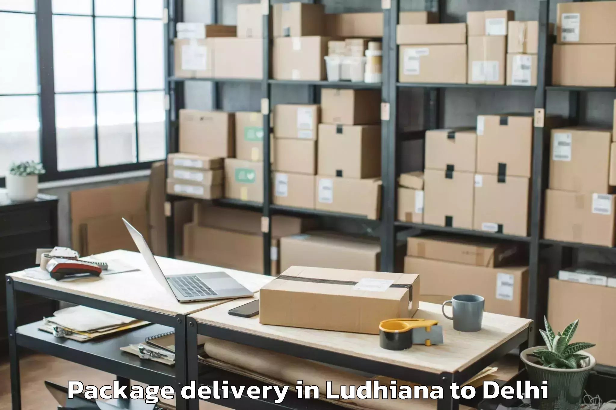 Quality Ludhiana to Punjabi Bagh Package Delivery